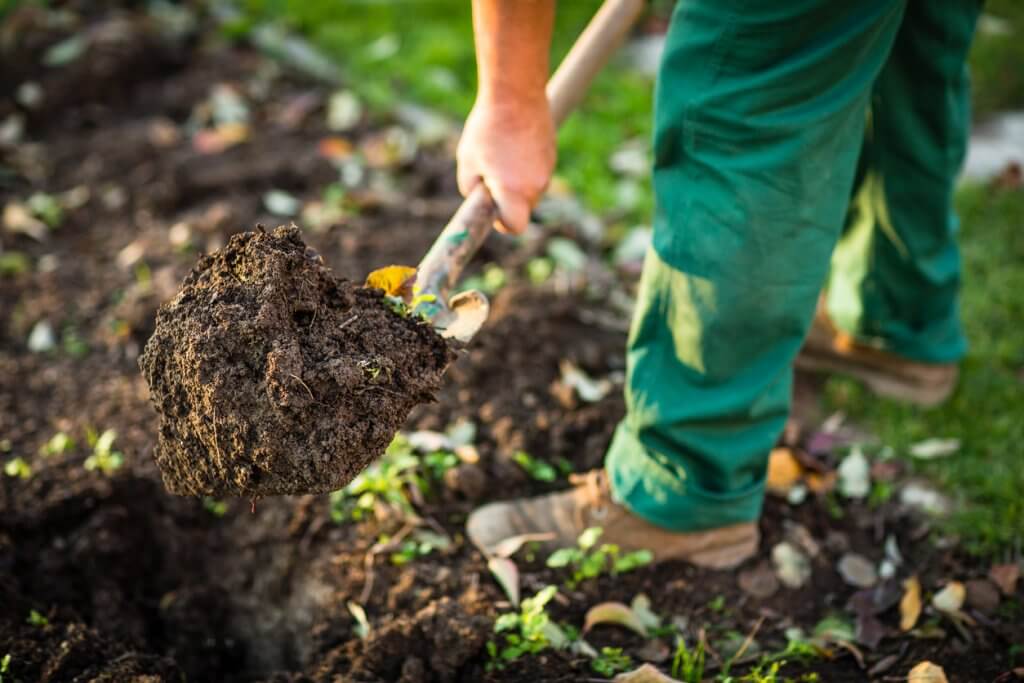 Reuse soil for new garden project